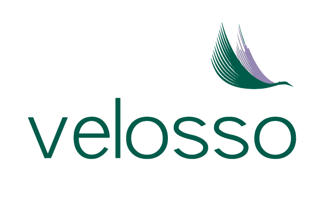 Velosso.com